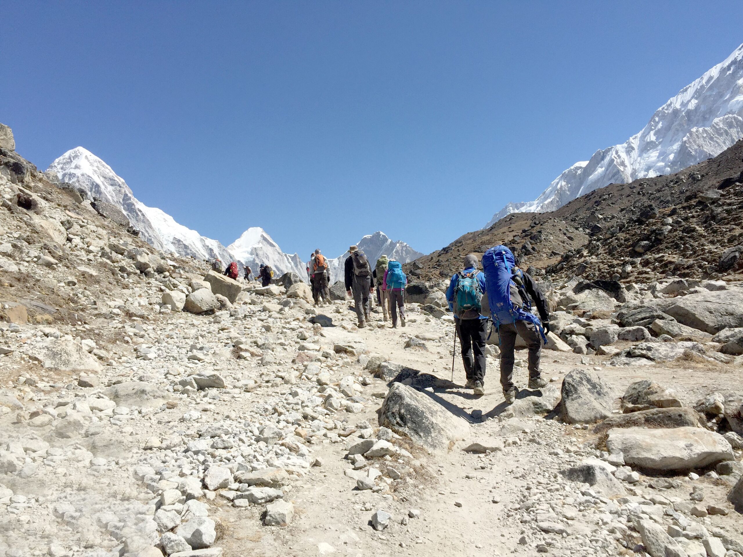 Trekking Permits & TIMS Card in Nepal